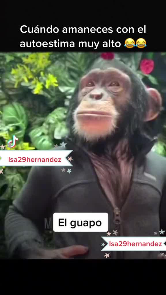 @Isa29Hernandez