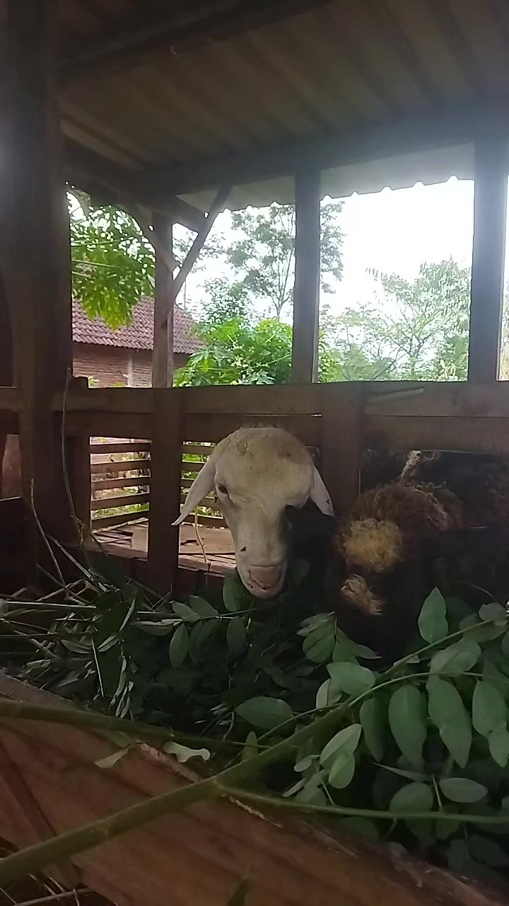 @I'm A Farmer