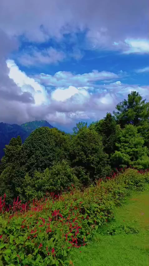 @GUJJAR 143 🦅