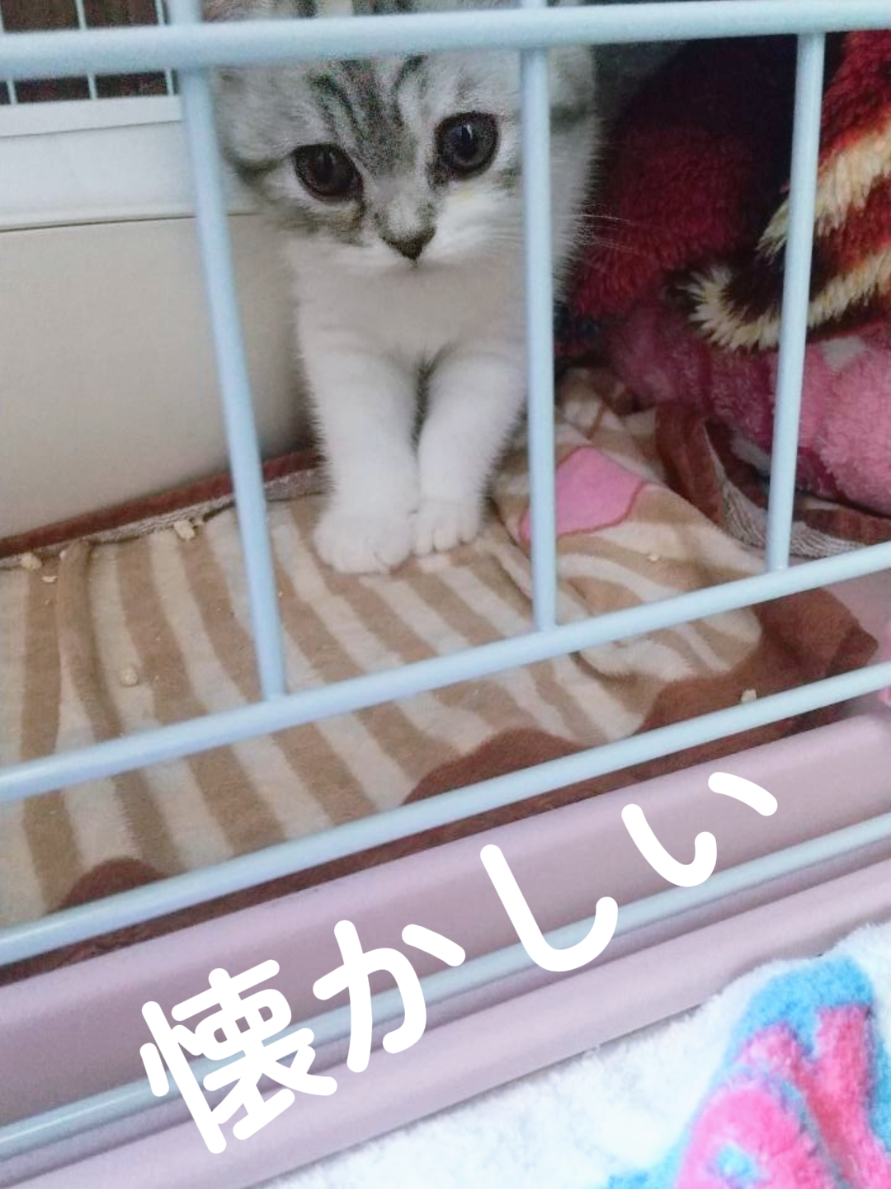 @くるくる8