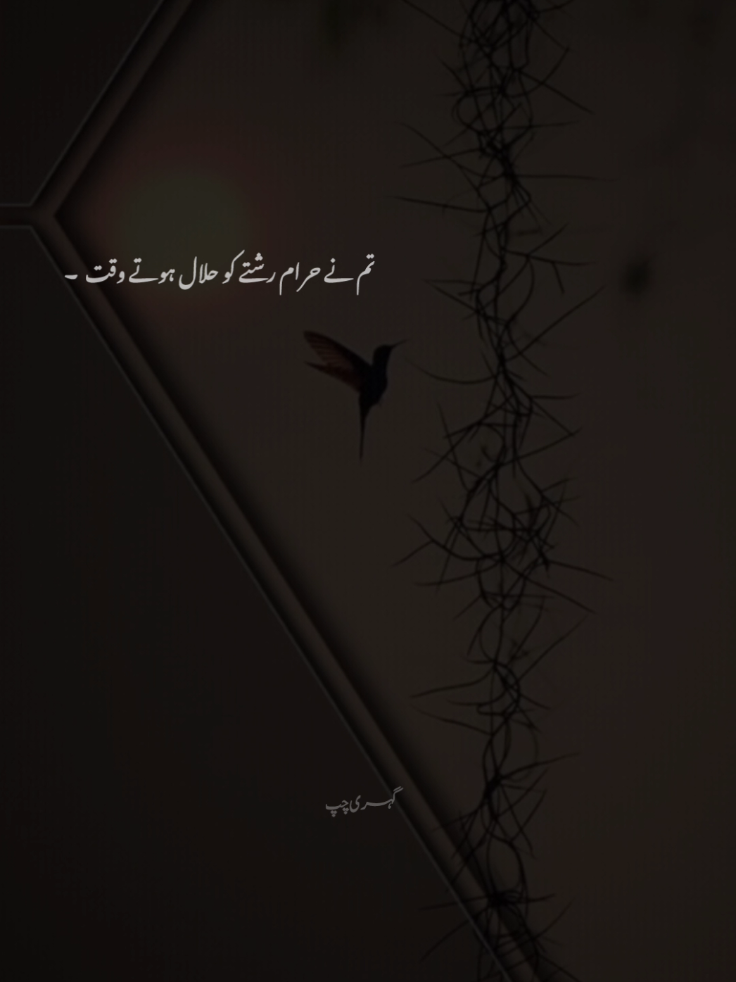 @꧁𓊈𒆜 SALMAN..KHAN𒆜𓊉꧂