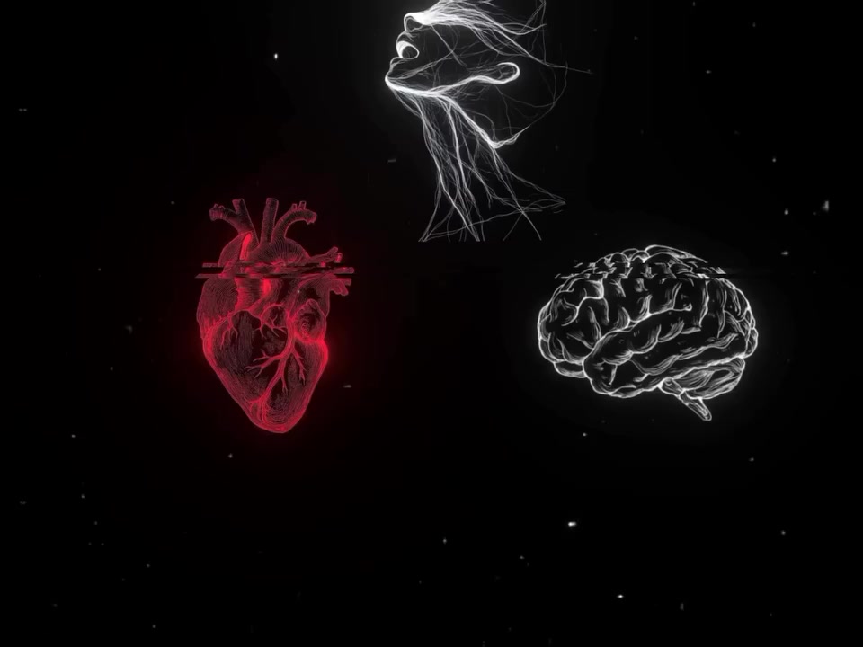 @𝐖𝐀𝐇𝐄𝐄𝐁 : 𝐇𝐀𝐌𝗨𝐖𝐃 𖢊