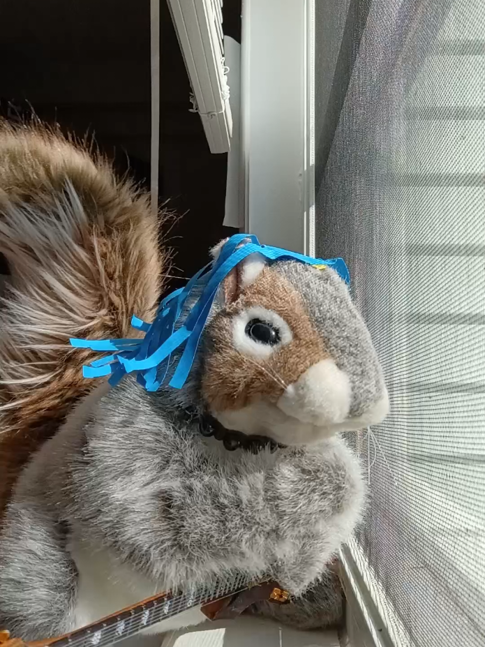 @Charles The Squirrel