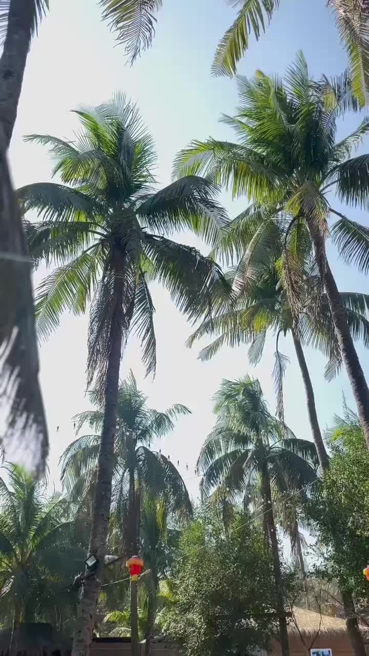 @Chader Bari Beach Resort