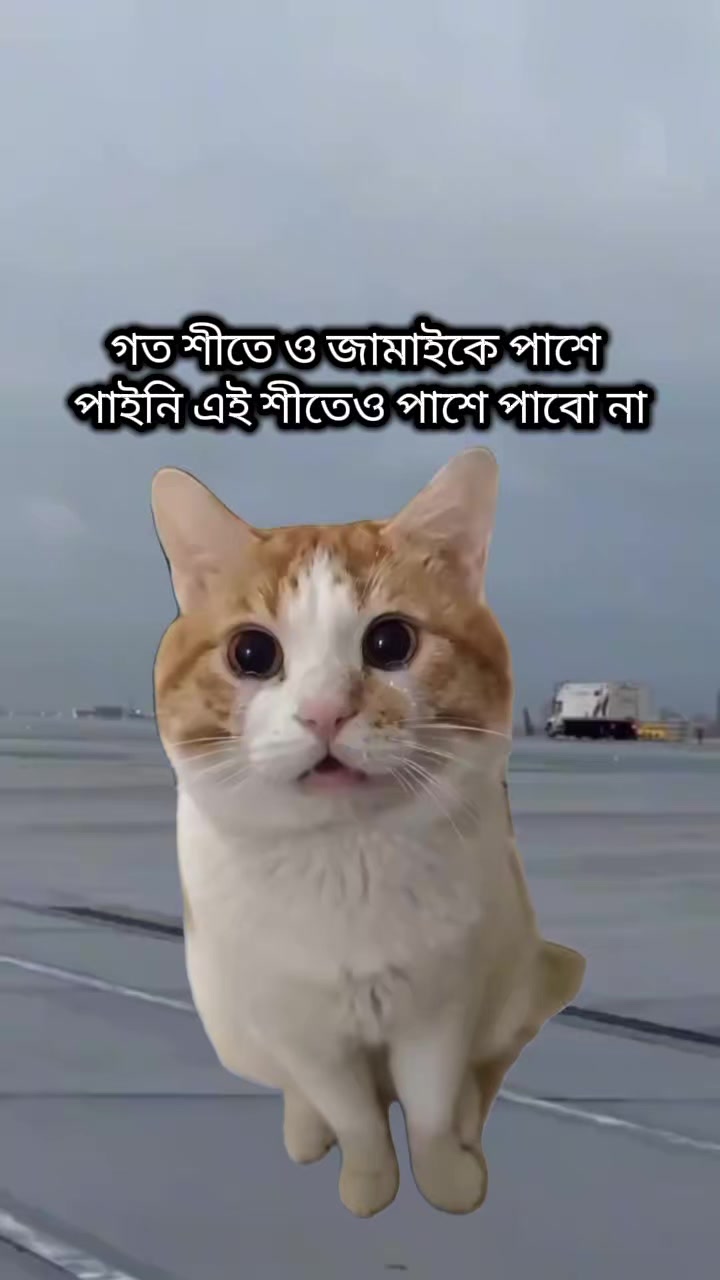 @✈️ প্রবাসীর বউ ✈️