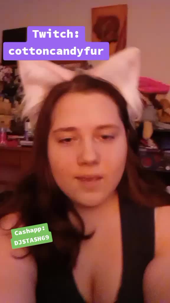 @CottonCandyFur