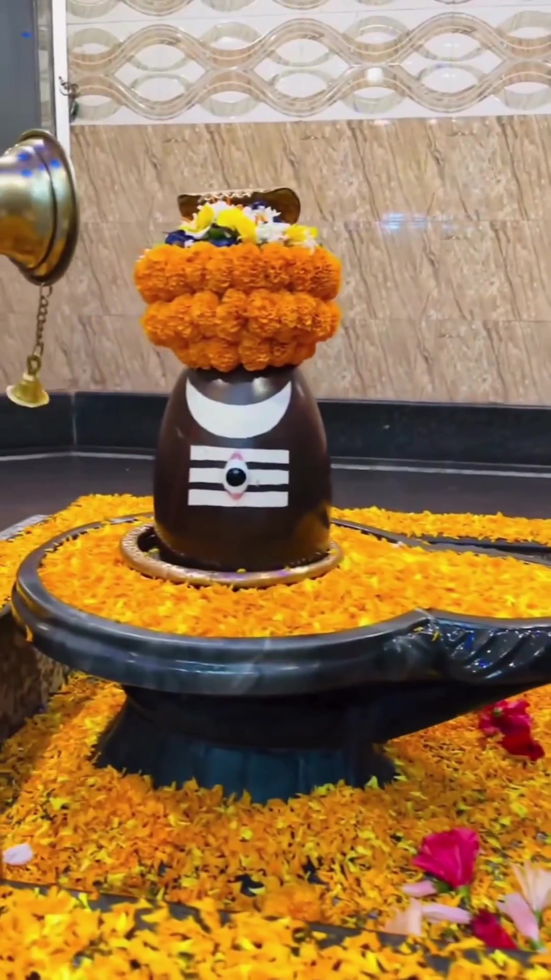@➳🧡शिवभक्त 🚩🥀꧂