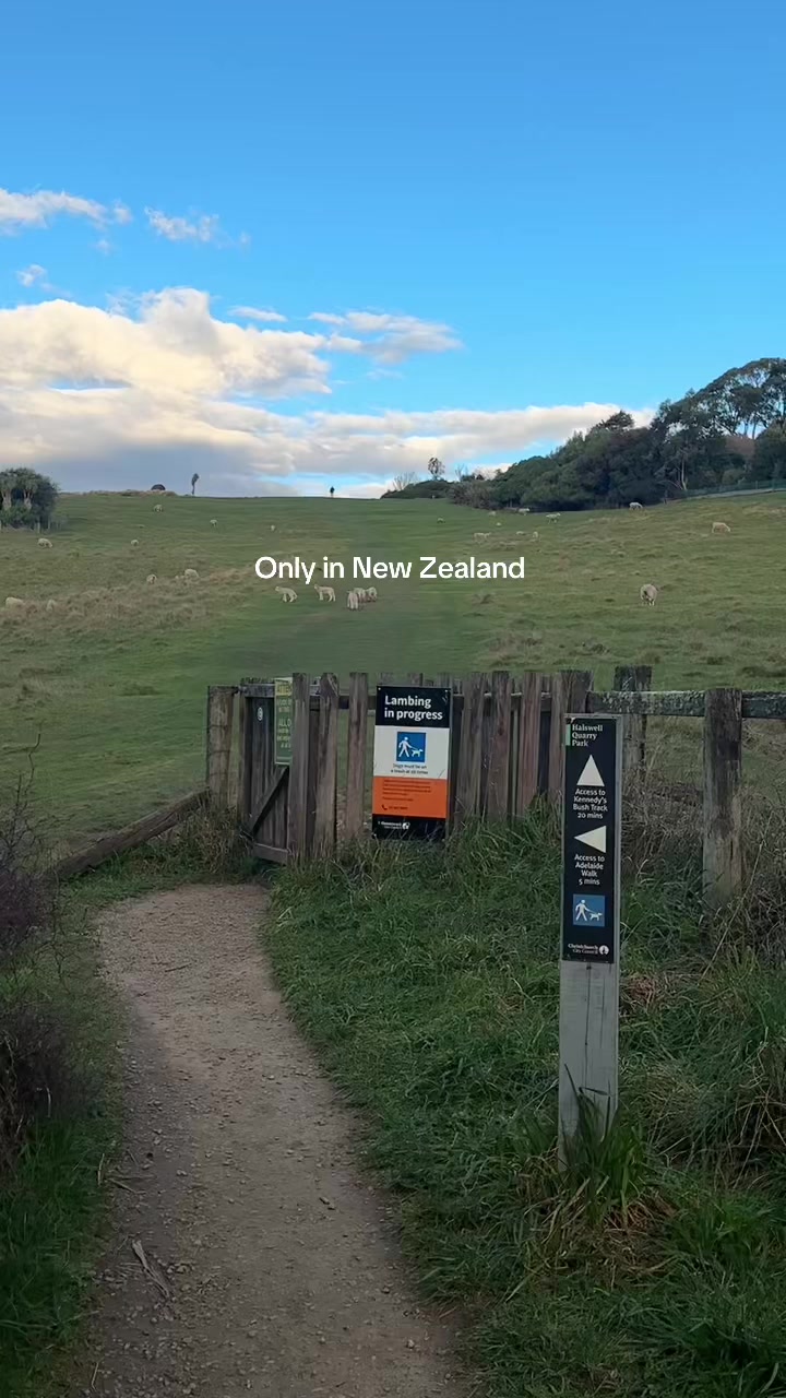 @MONIQUE GRACE | NZ