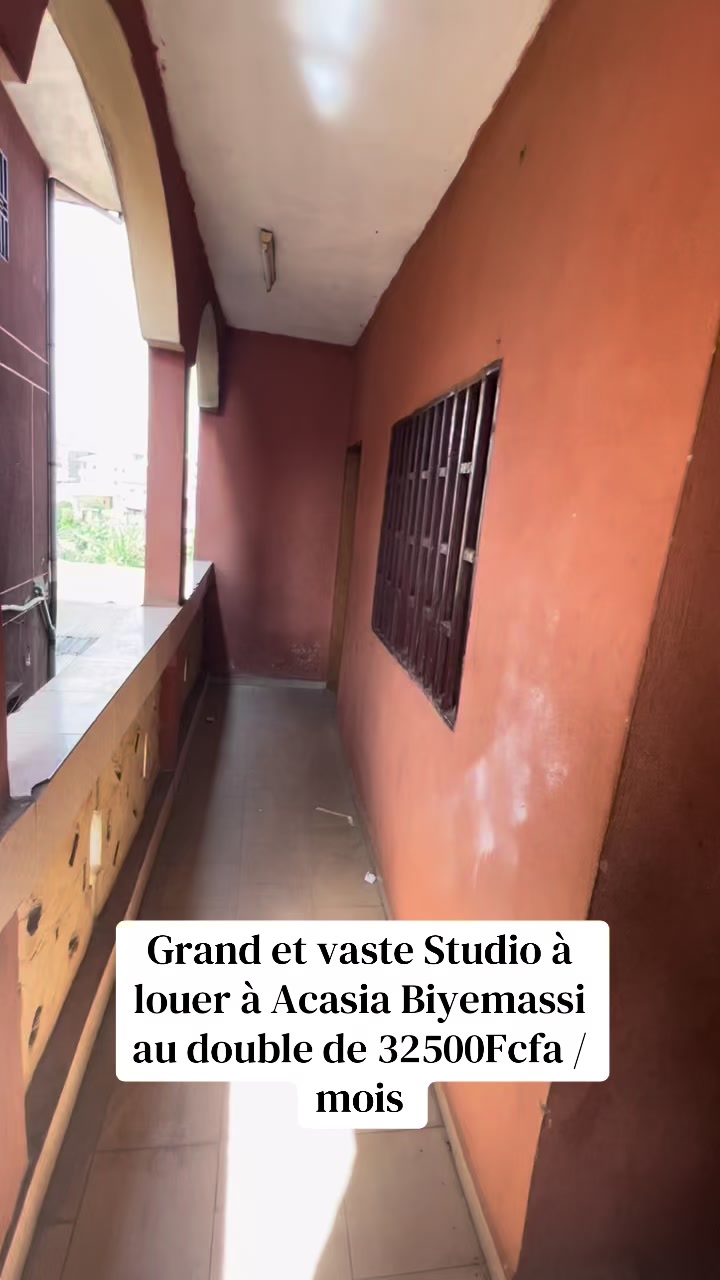 @DINO~IMMO~237🇨🇲🇨🇲