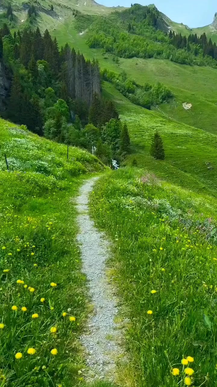 @Lionghoaho