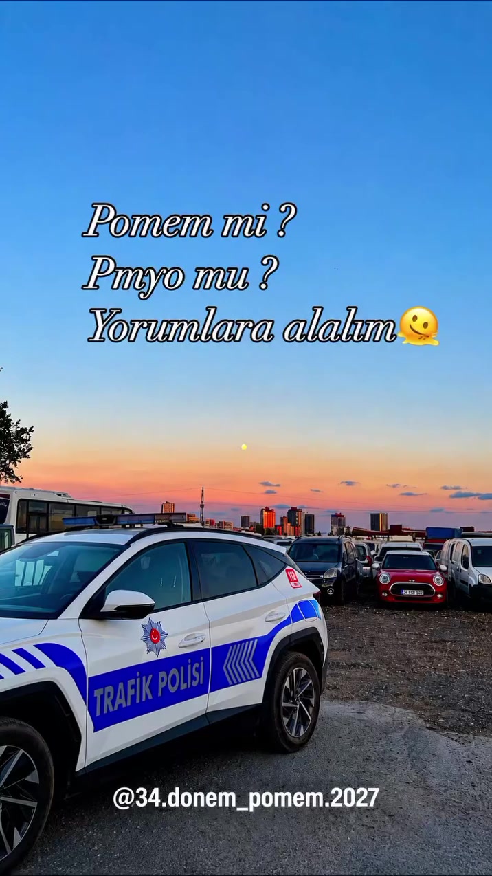 @_polishanim