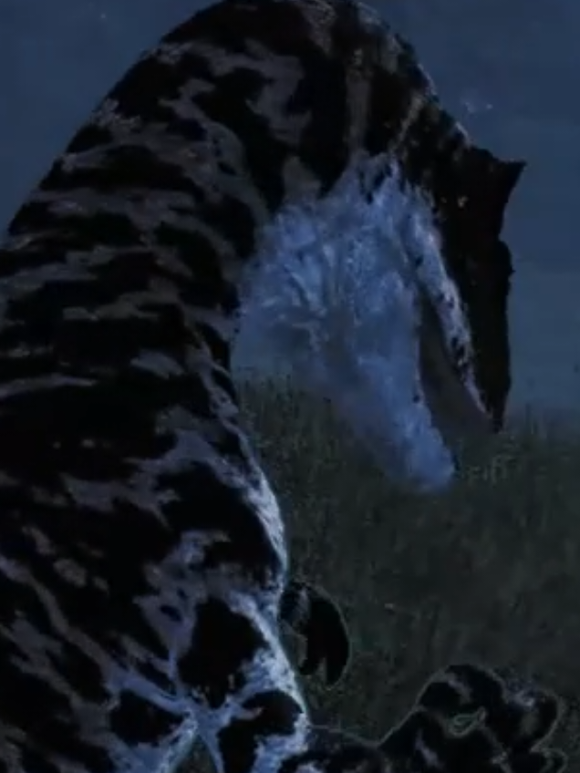 @🦖 — kouisle — 🦕