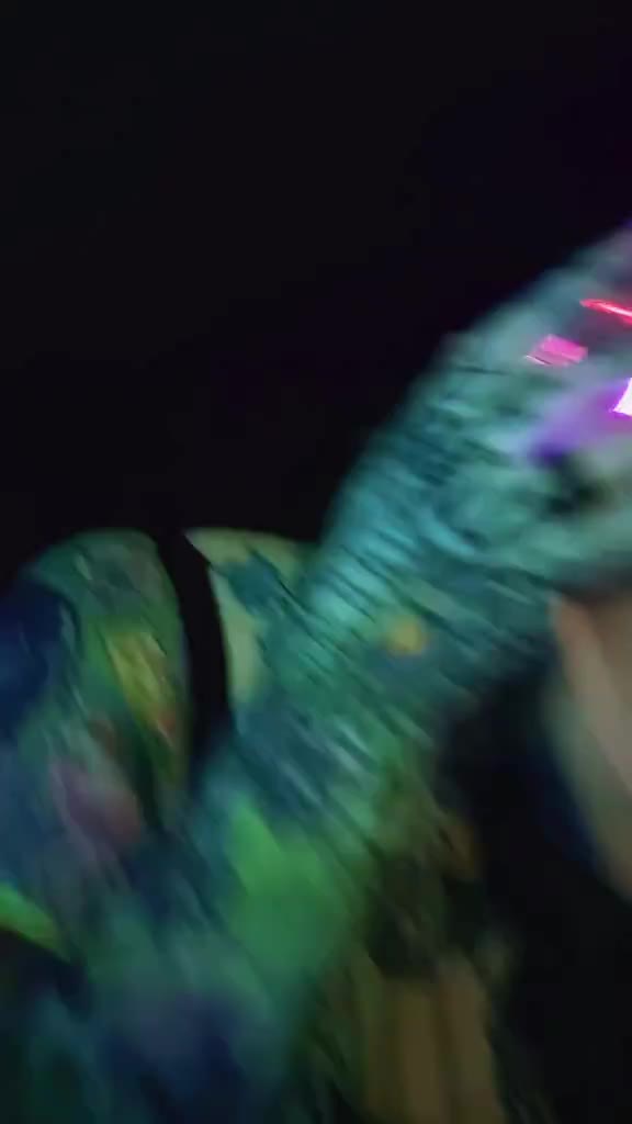 @FriendlyEchos_on_Twitch