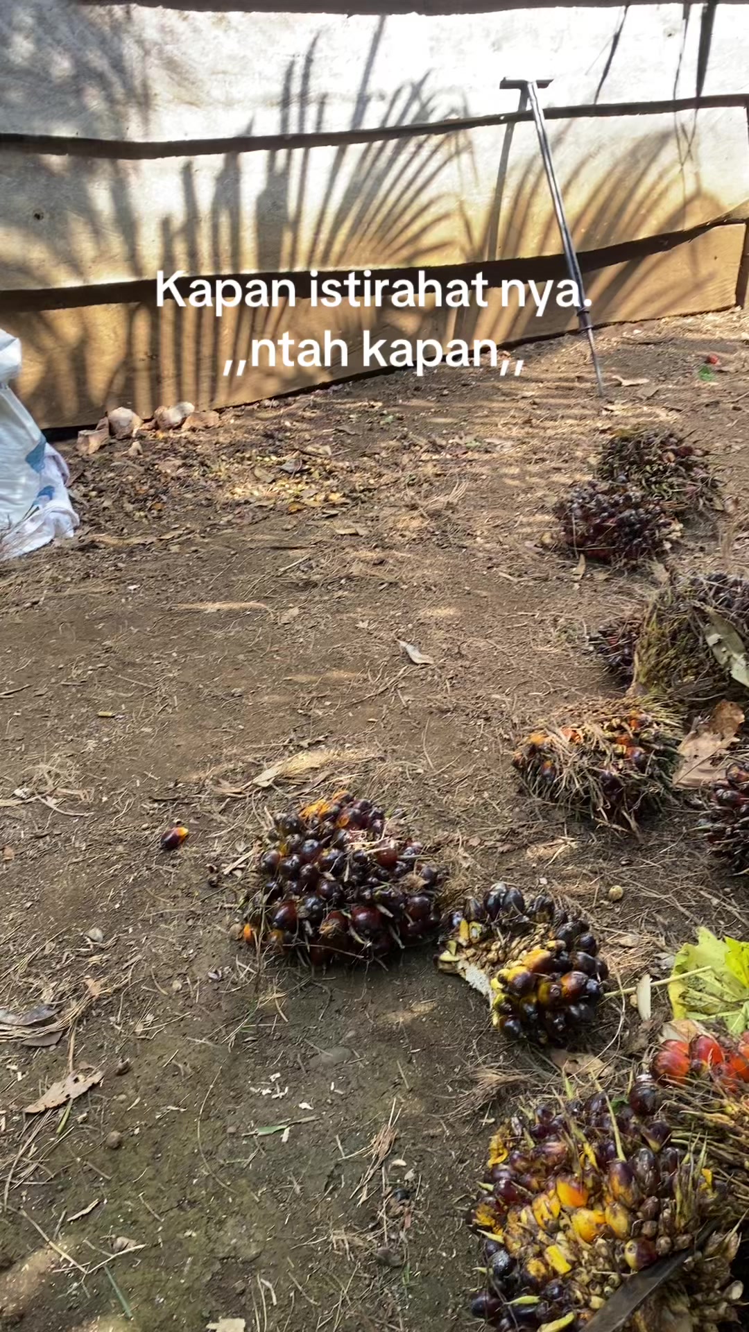 @Pajrul Pala