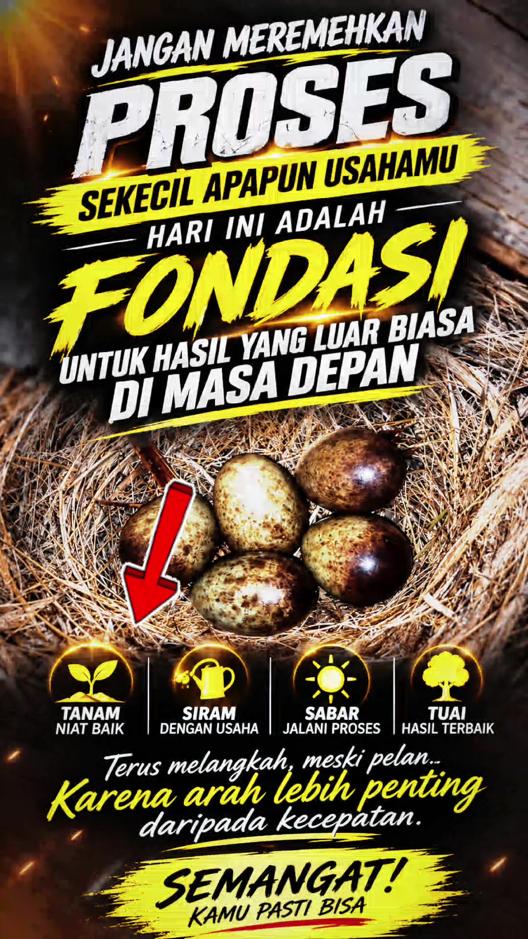 @iipas utan