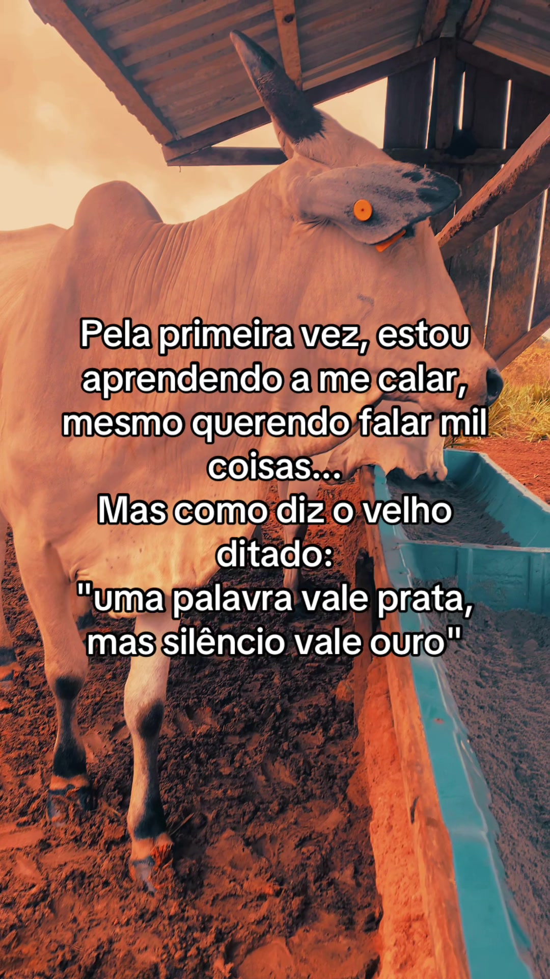 @📿K&Aacute;SSIO.agro𓃗🤠