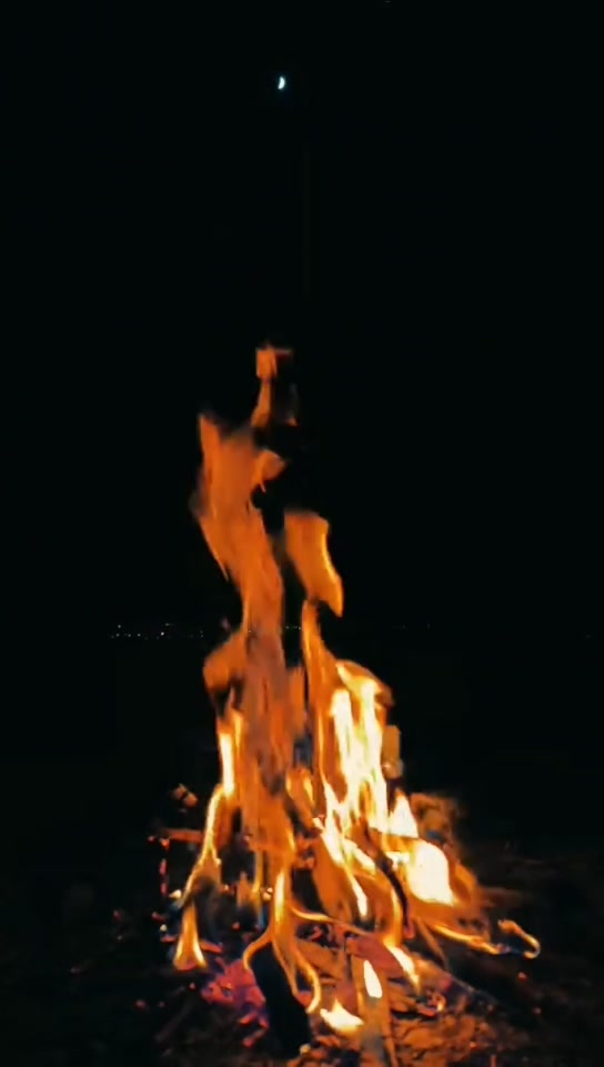 @safanoor