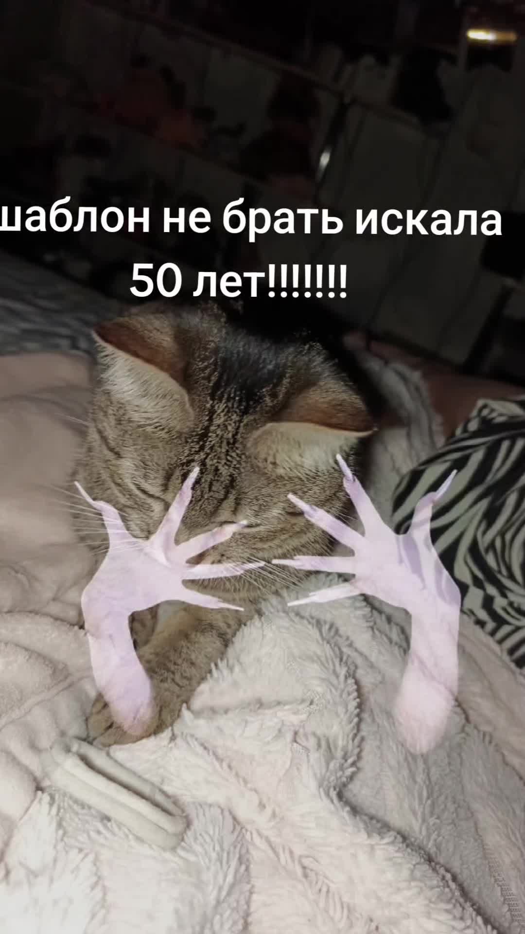 @олеся хулиганка