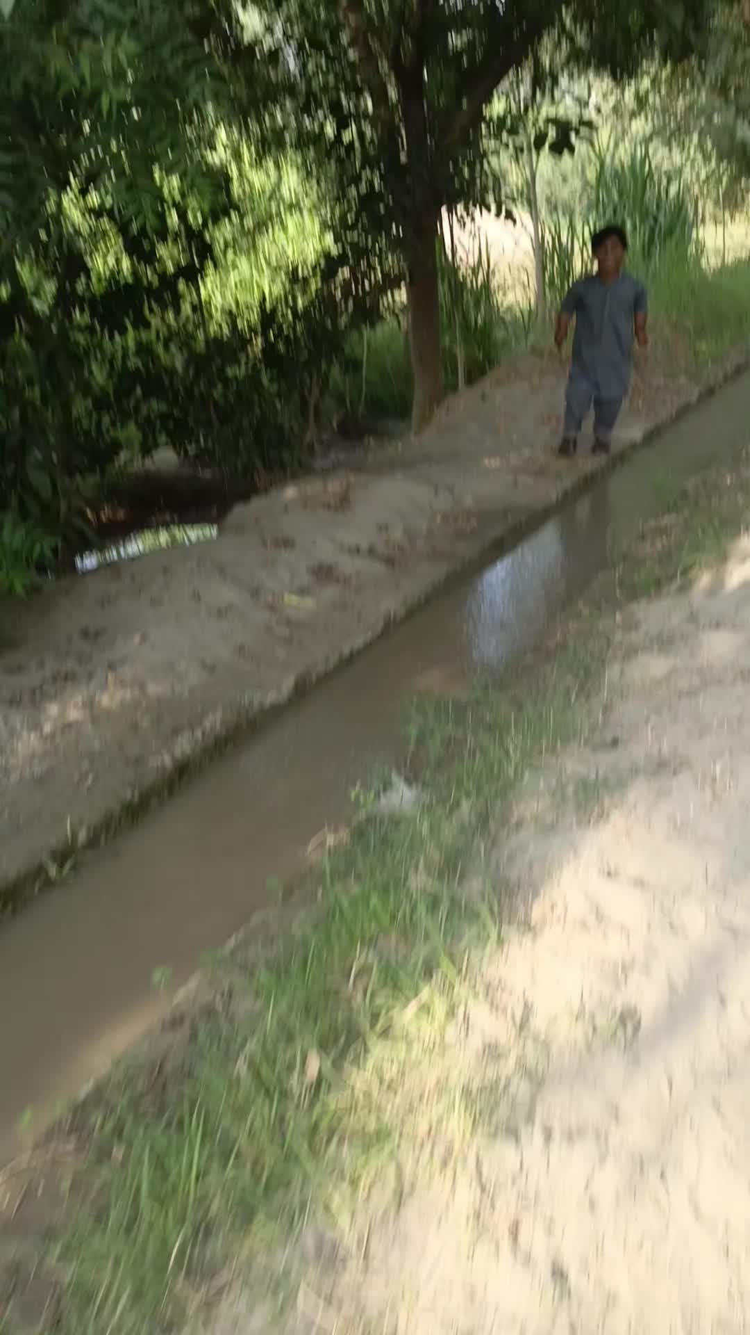 @گُڈو بادشاہ