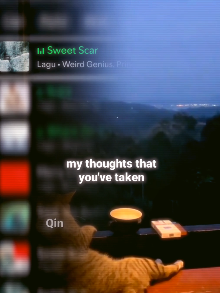 @Qin