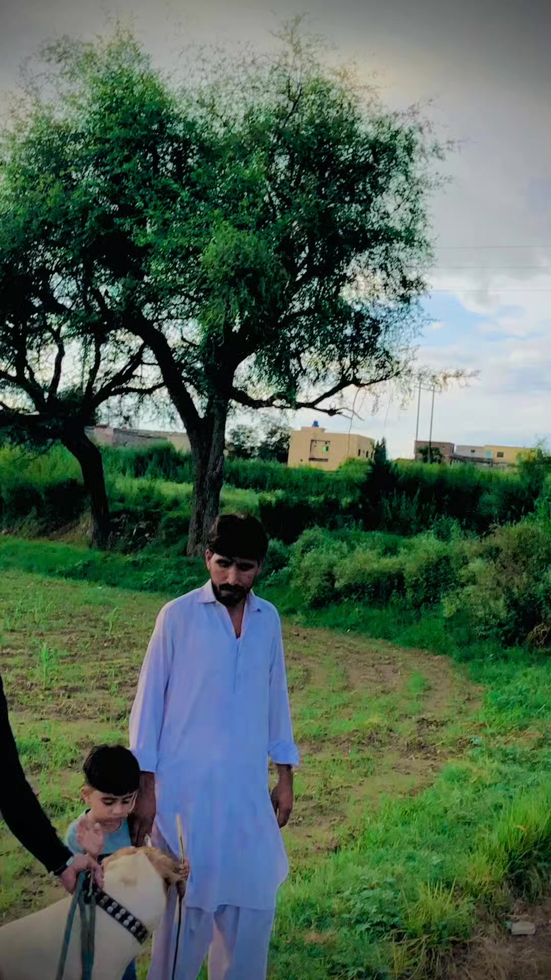 @❣️Farzand ❣️Ali💕🦅