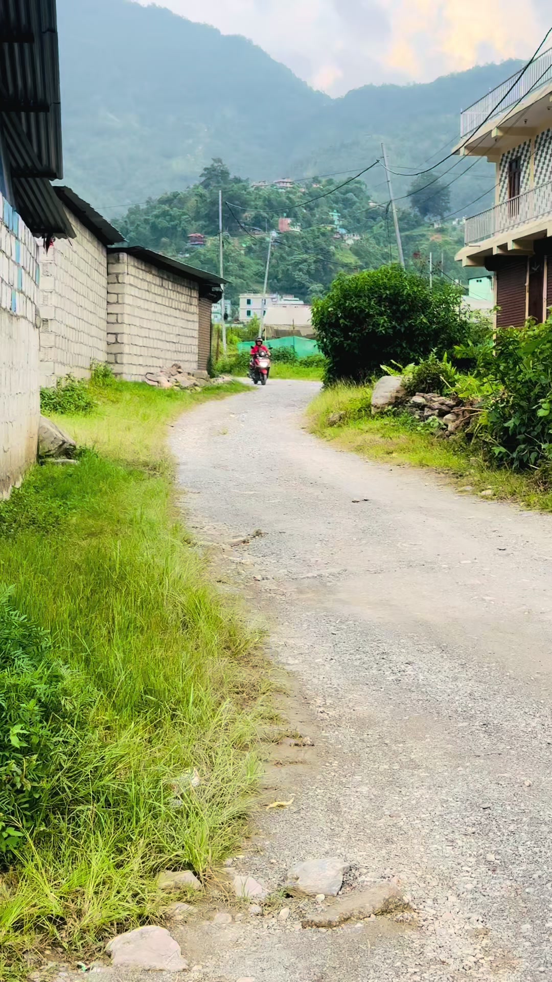 @RADIKA BHANDARI 🦋❤️
