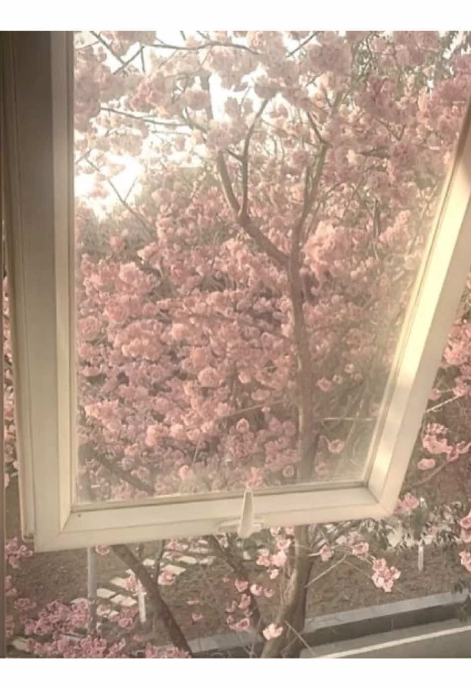 @(:̲̅:̲̅:̲̅[̲̅:♡:]̲̅:̲̅:̲̅:̲̅)