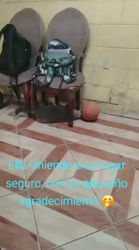 @Silvia 🇪🇨🌺💋