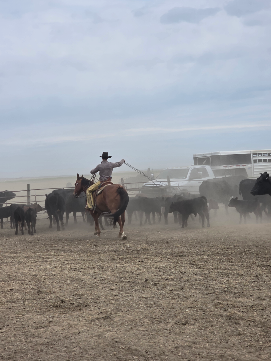 @wyomingrancher