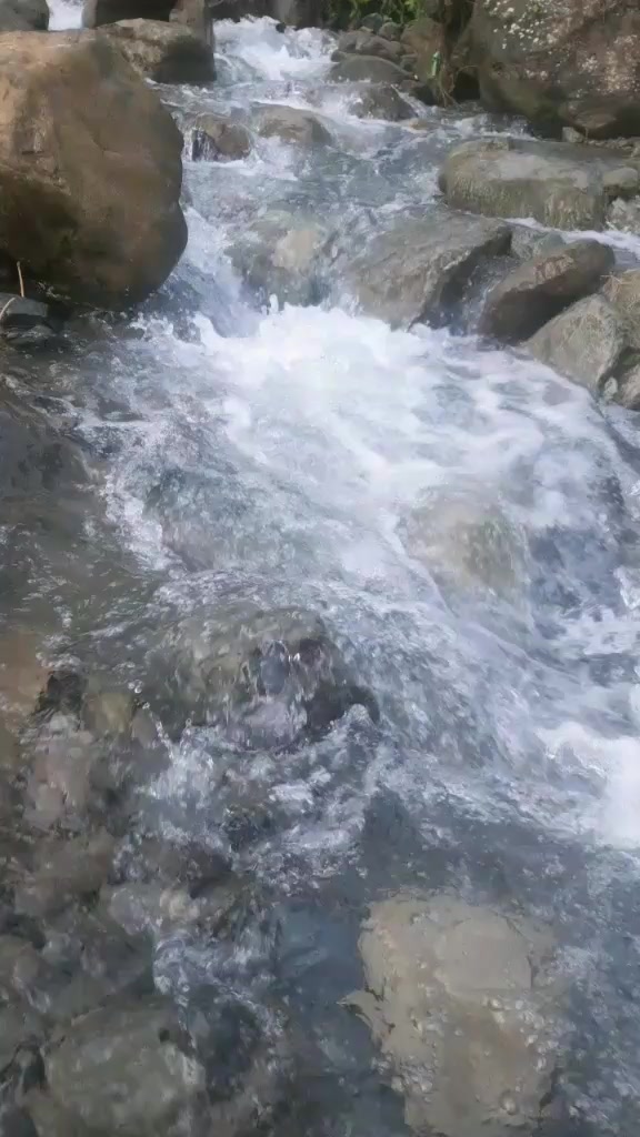 @apana rai
