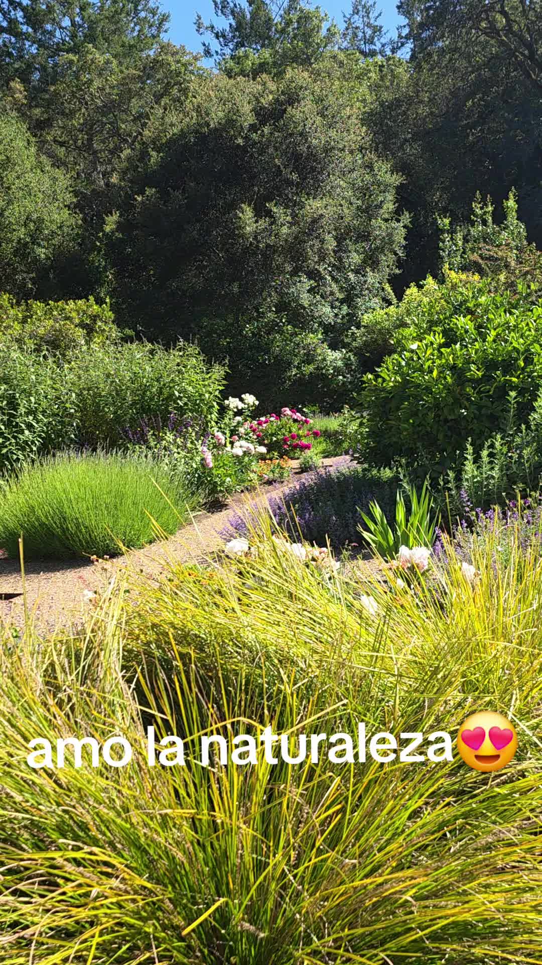 @🇲🇽CUEVASISA❣️🦂♏️
