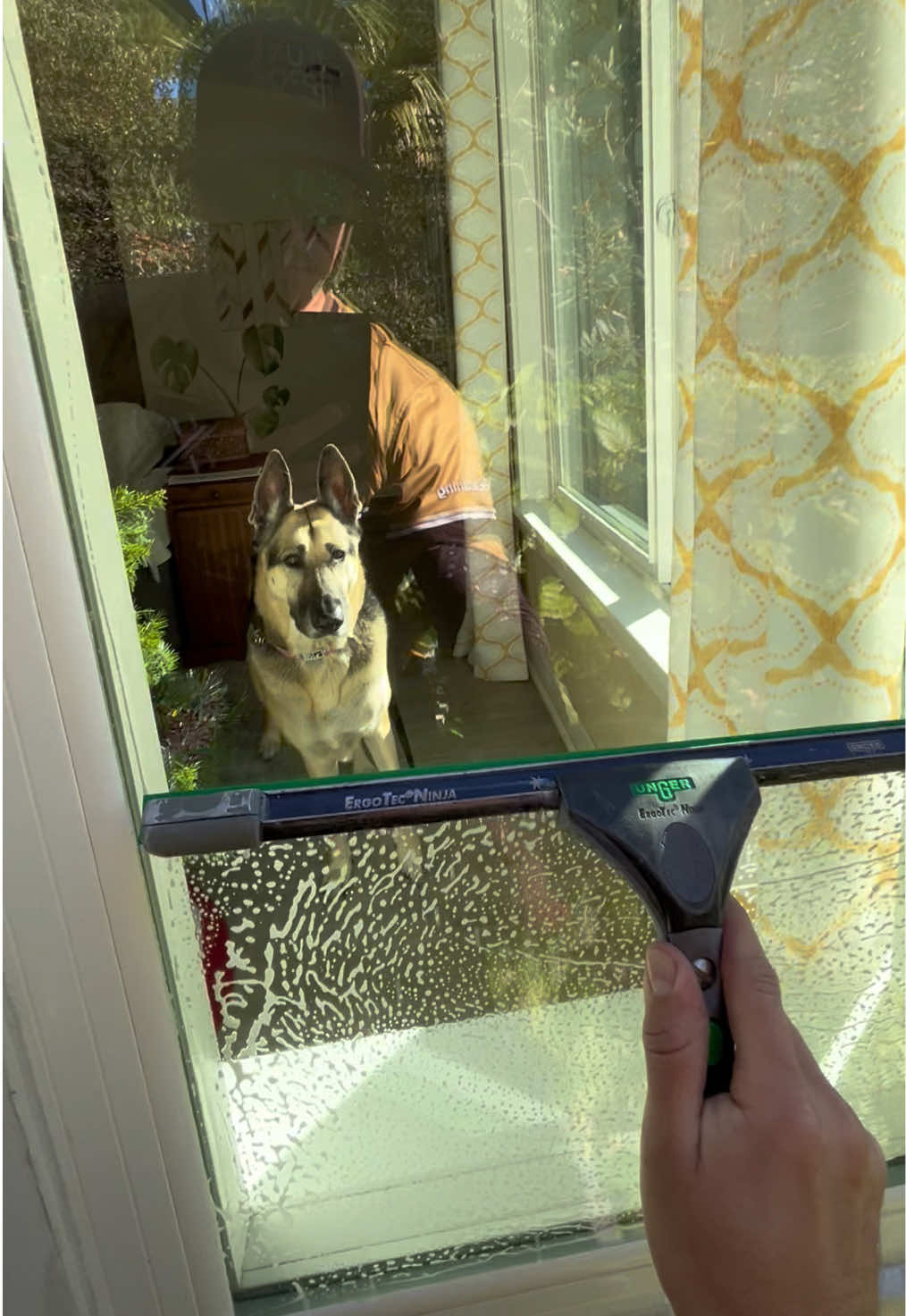 @luxprocleaning