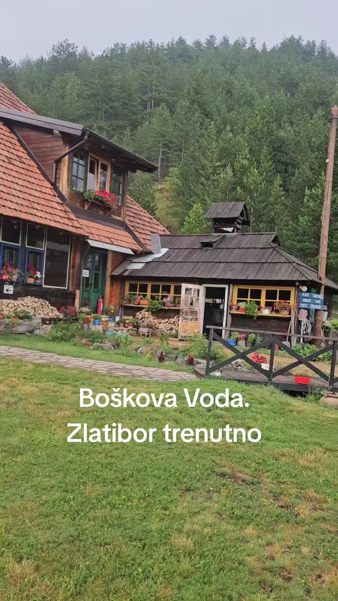 @dragantodic1