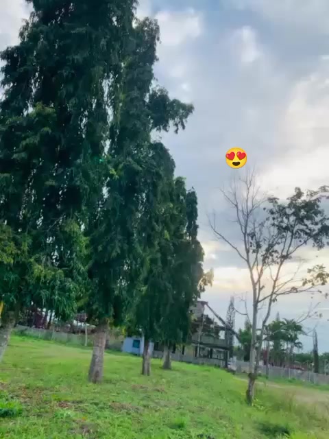 @FIDEL SACHES 🫥🦦