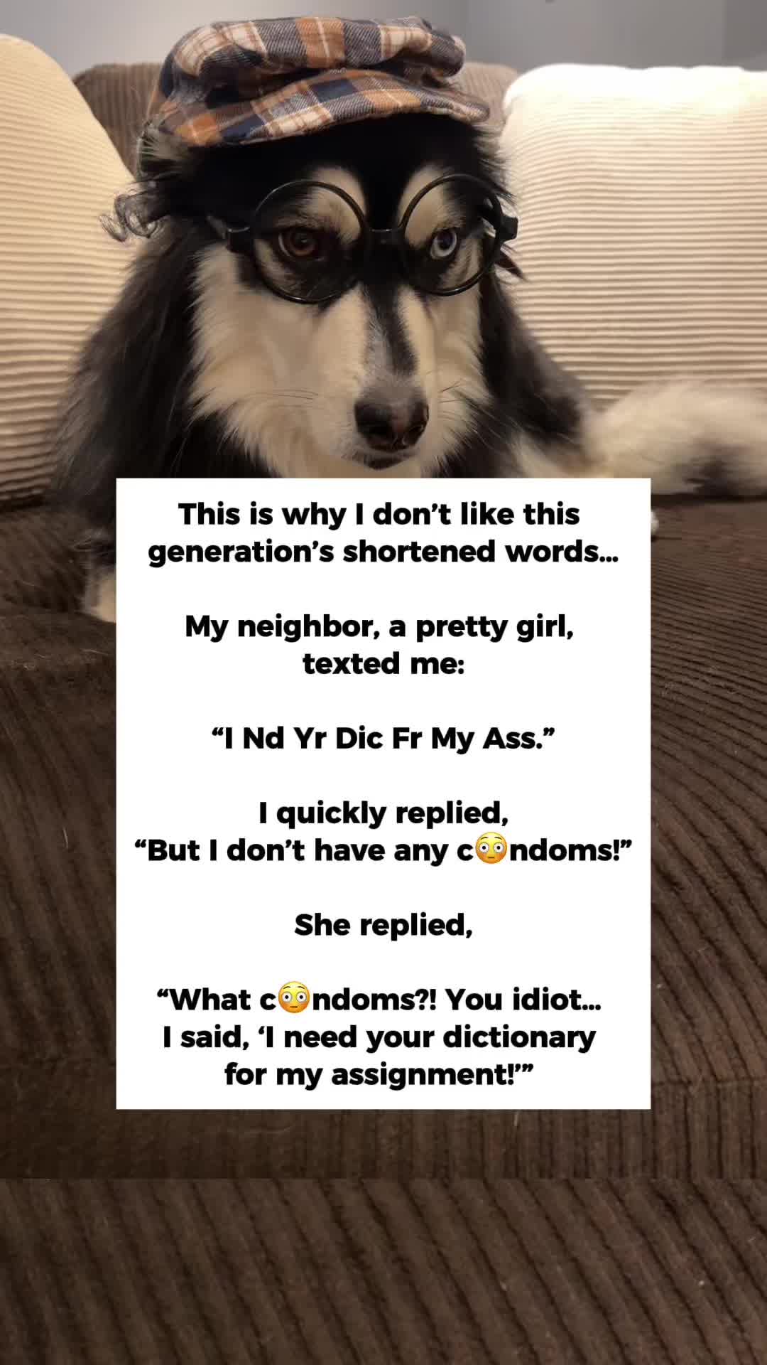 @Zeus the Pomsky🐾