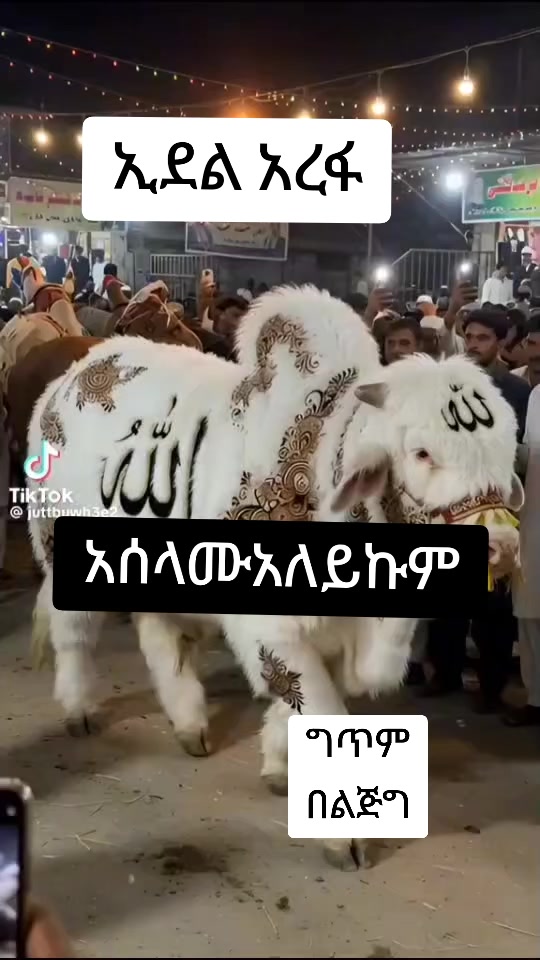 @በልጅግ
