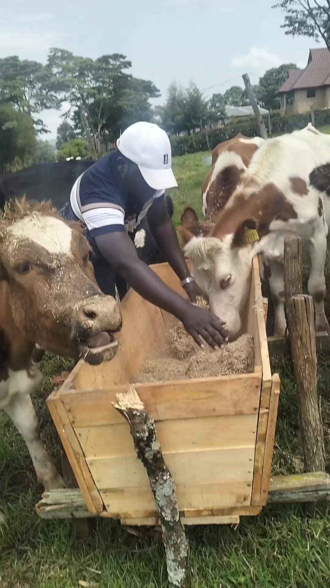 @SEGO DAIRIES 🇰🇪 🌹❣️