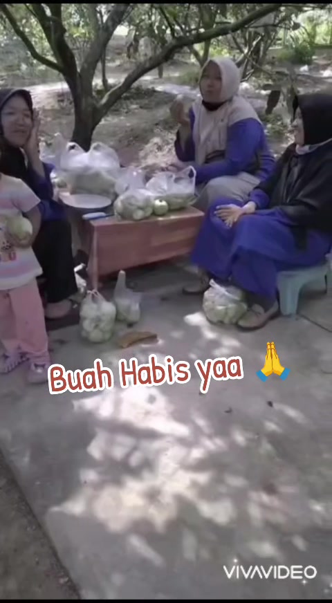 @Bibit khusus samarinda