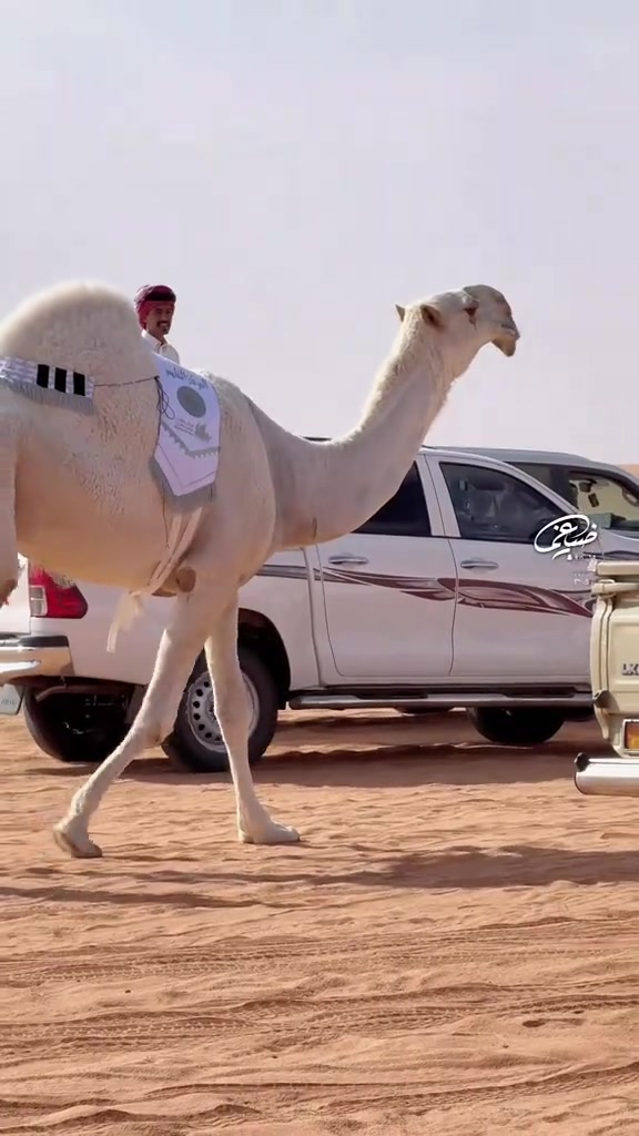@شيمه