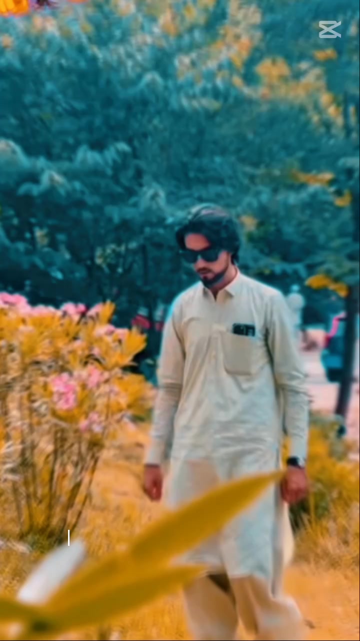 @👑BAGHI EDIT👑