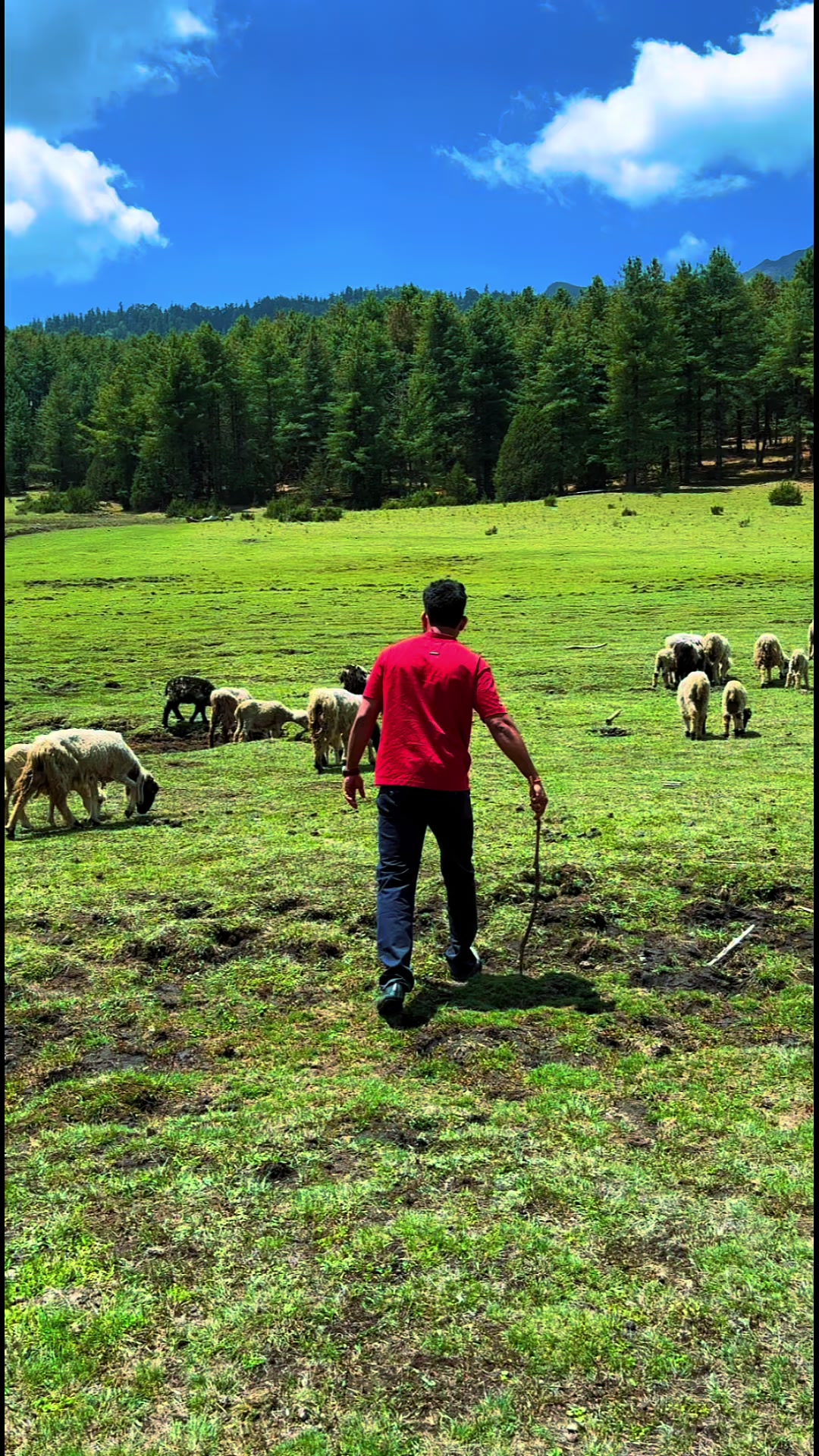 @Abhi Yadav