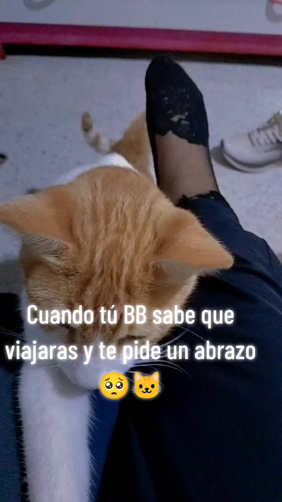 @Loa Rivas Lizbeth Guadalupe 🥰