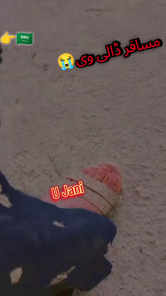 @ᴿᴬᴮᴵᴬ◉➳☙ ᴶᴬᴺᴵდ❦