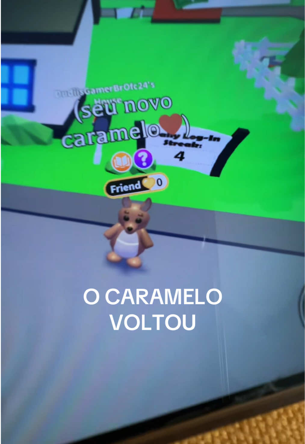 @duda ferrão 🐝💛