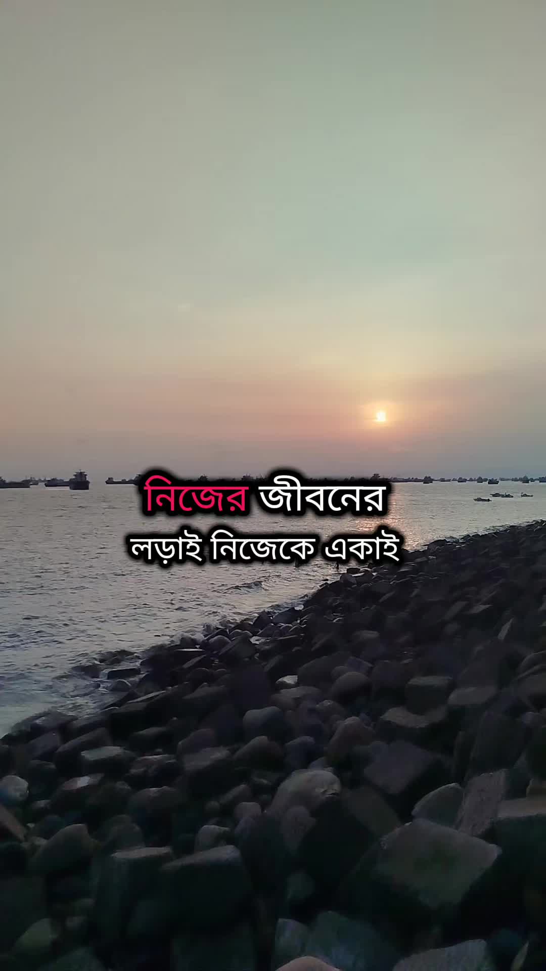 @Rubel Shorts Vlogs