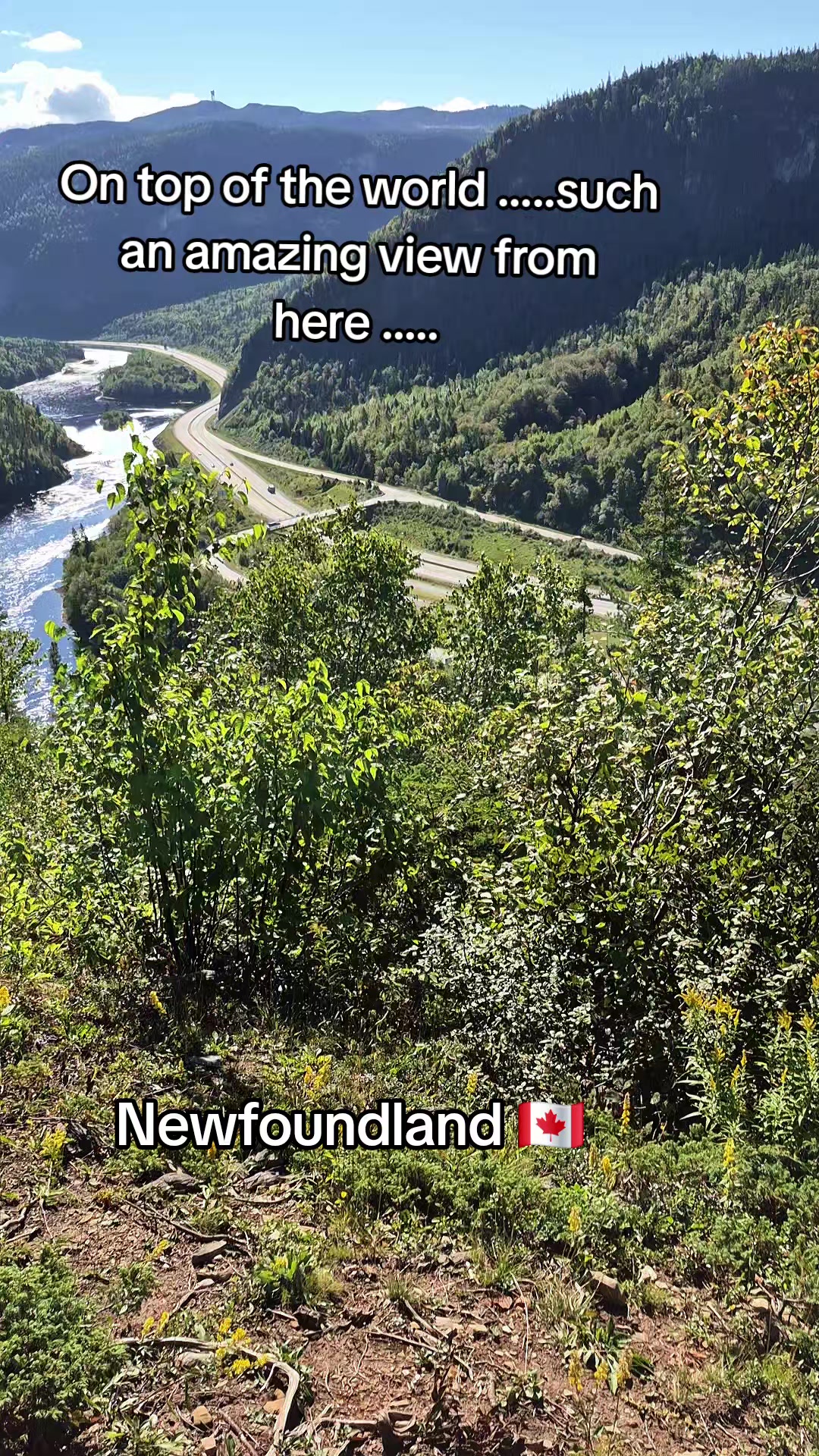 @⚓️Dwayne NL🇨🇦🇨🇦Gen ❌️