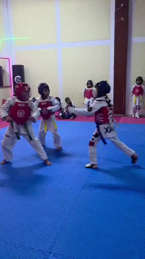 @Quetzal - Academia Profesional