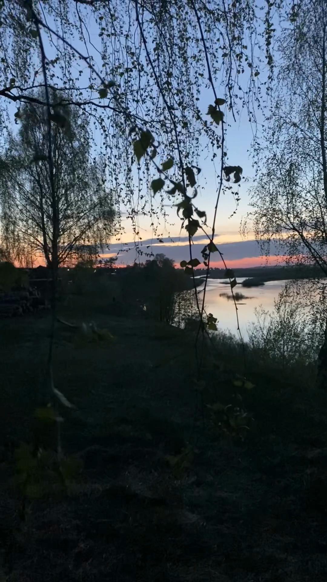 @Svet☀️🦊