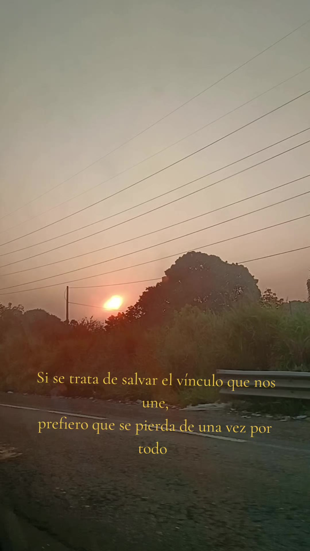 @𝑆𝑢𝑘𝑖ت︎