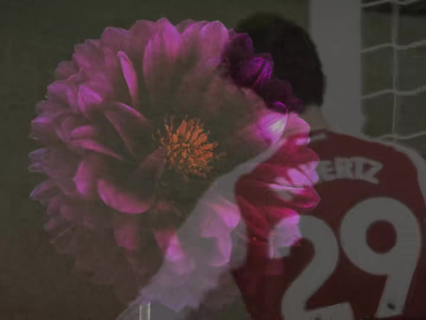 @Havertzzl ✰